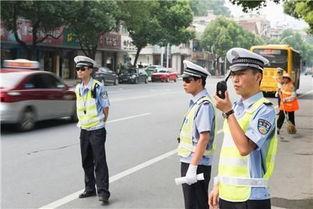 吃瓜被交警拦