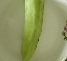 吃瓜的塔,揭秘背后的故事与真相