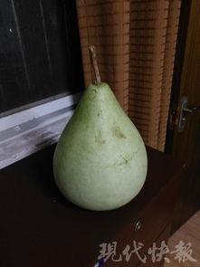 在自家吃瓜,夏日悠闲生活记