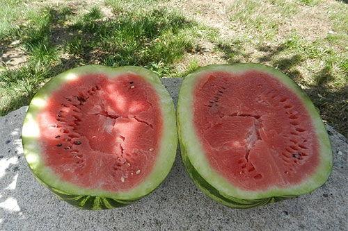 梦见买减肥瓜吃